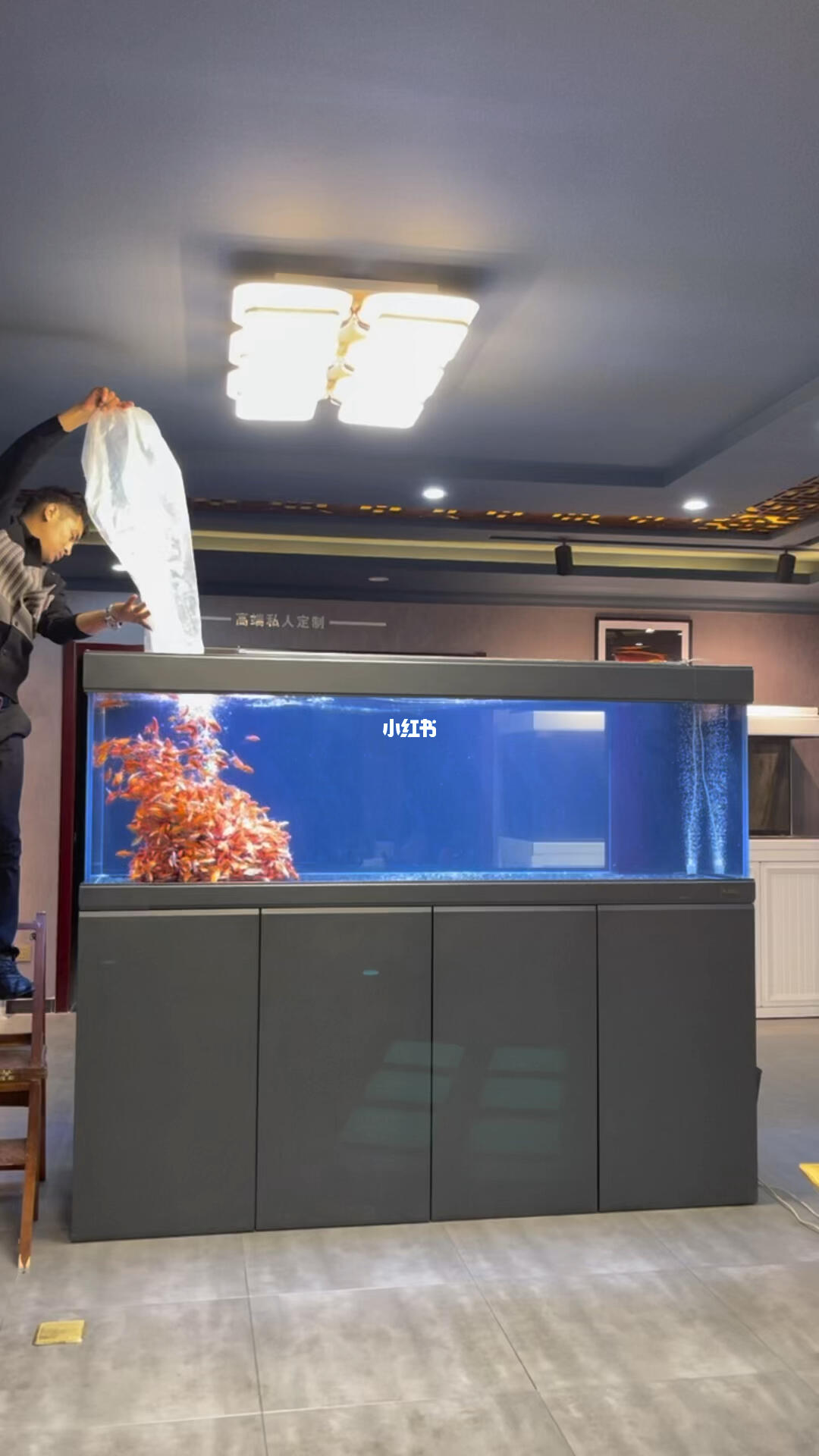 最新款鱼缸推荐，打造梦幻水族世界必备之选