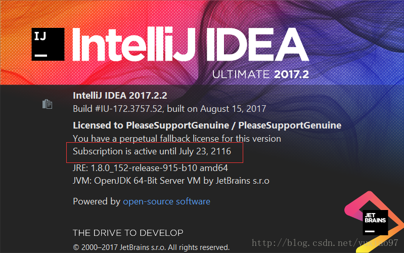 IDEA价格深度解析，软件定价策略的全面透视