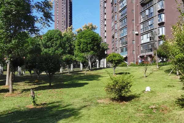 江夏菩提苑最新房价信息与自然美景探索之旅