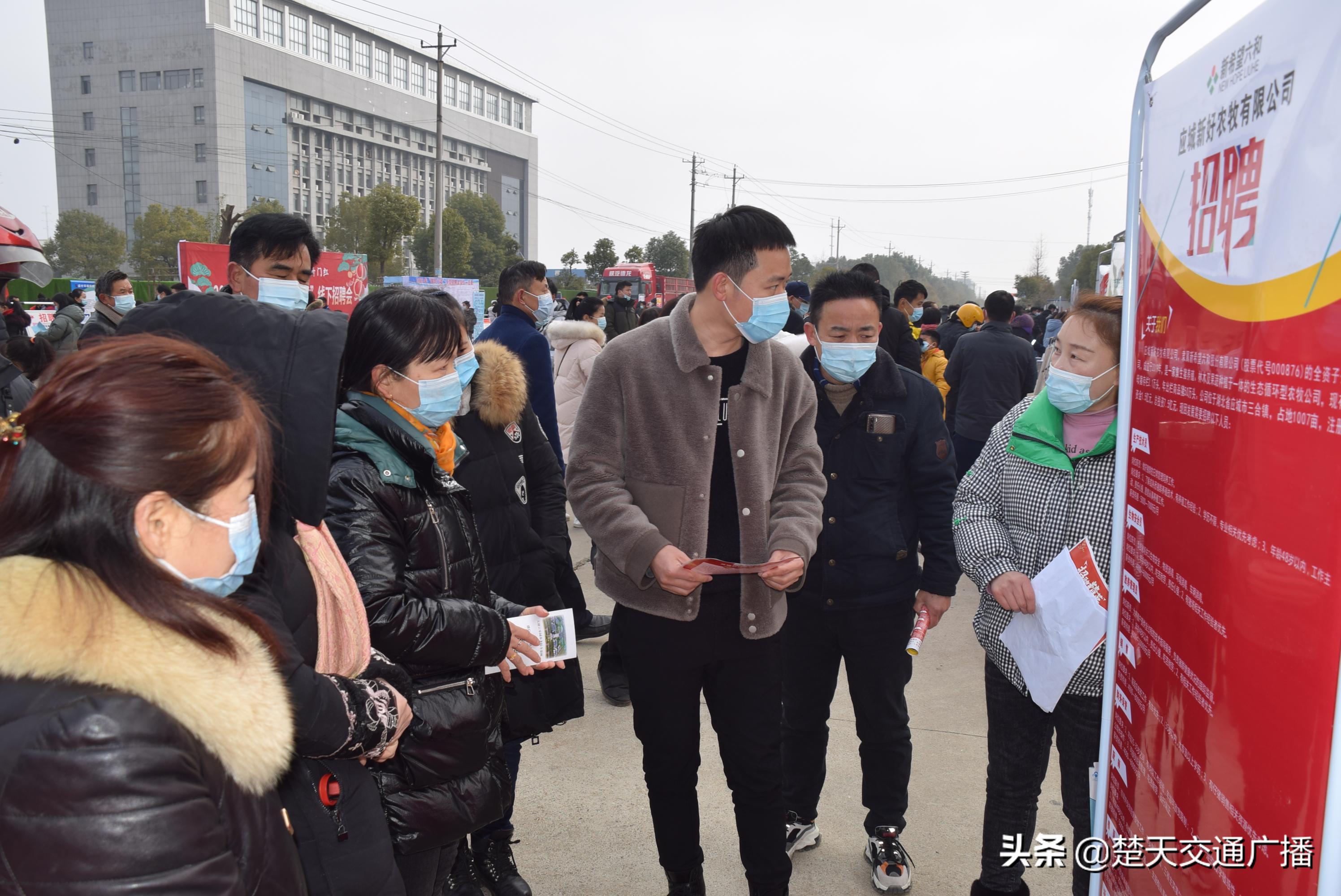 应城招聘信息汇总，小巷里的职业机遇发现