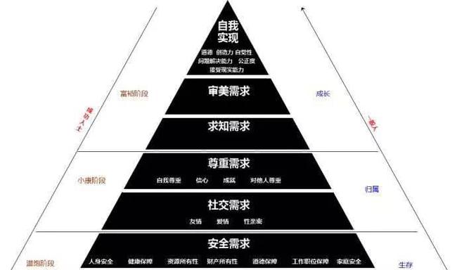 香港免费公开资料大全,全身心解答具体_美学版87.640