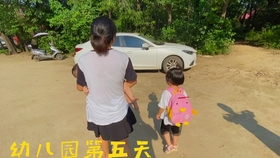 南阳花生价格动态,南阳花生价格动态——探寻小巷中的花生香