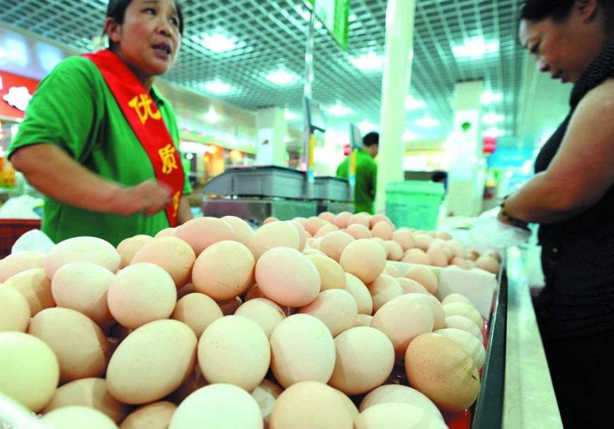 禽网鸡蛋价格行情分析与趋势预测