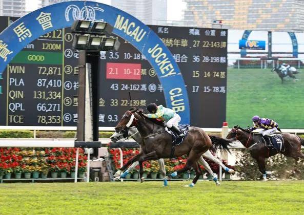 澳门今晚开特马+开奖结果课优势,高度协调实施_声学版92.566