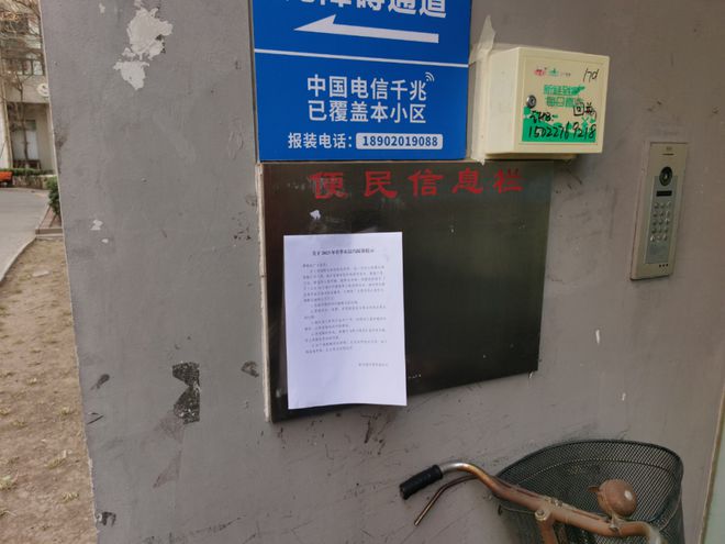 最新灭鼠规范，鼠影之下的温馨生活指南