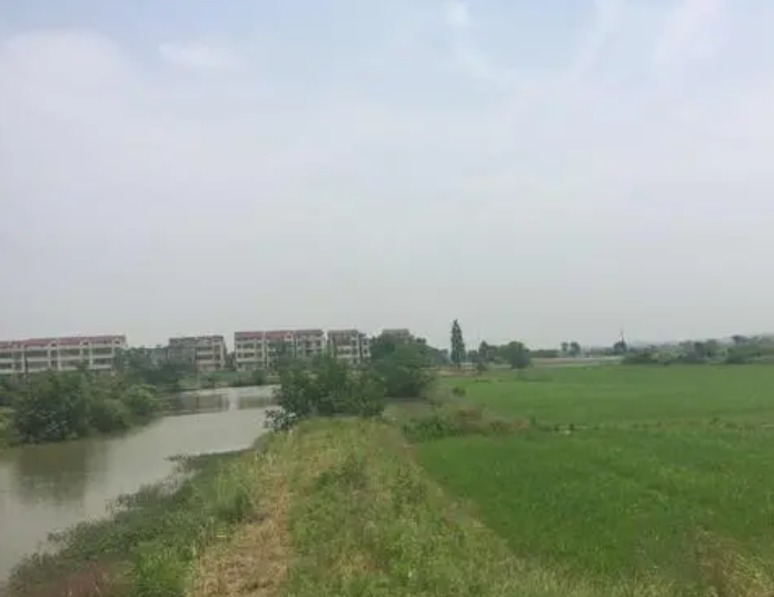 樟树市洲上乡最新发展规划揭秘，未来蓝图与发展动向