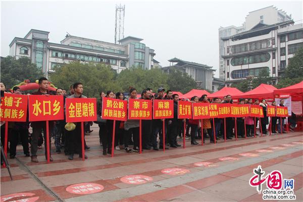 绥宁县2017年人才招聘信息汇总