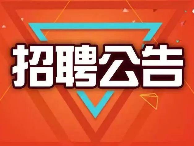 临颍最新职位招聘详解，机会与观点阐述