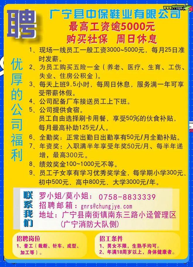 普宁流沙深处寻找特色小店司机，驾驶奇遇启幕