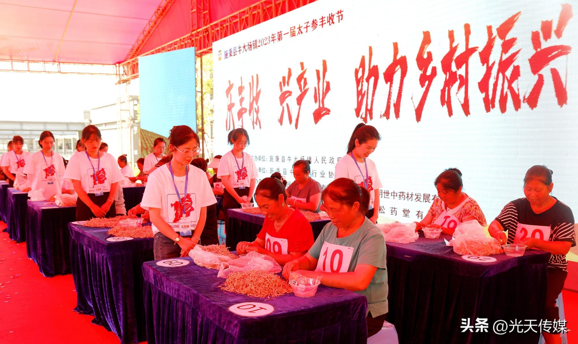 施秉太子参最新行情速递，市场动态与温馨日常