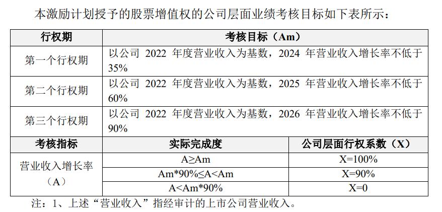 股票增值权,股票增值权，理解其内涵与影响