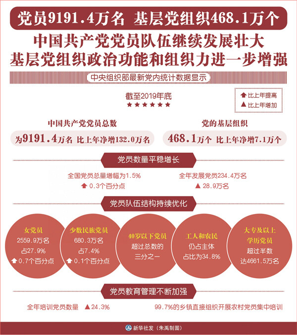 最新党派特征详解，全面解析党派最新特点与趋势指南