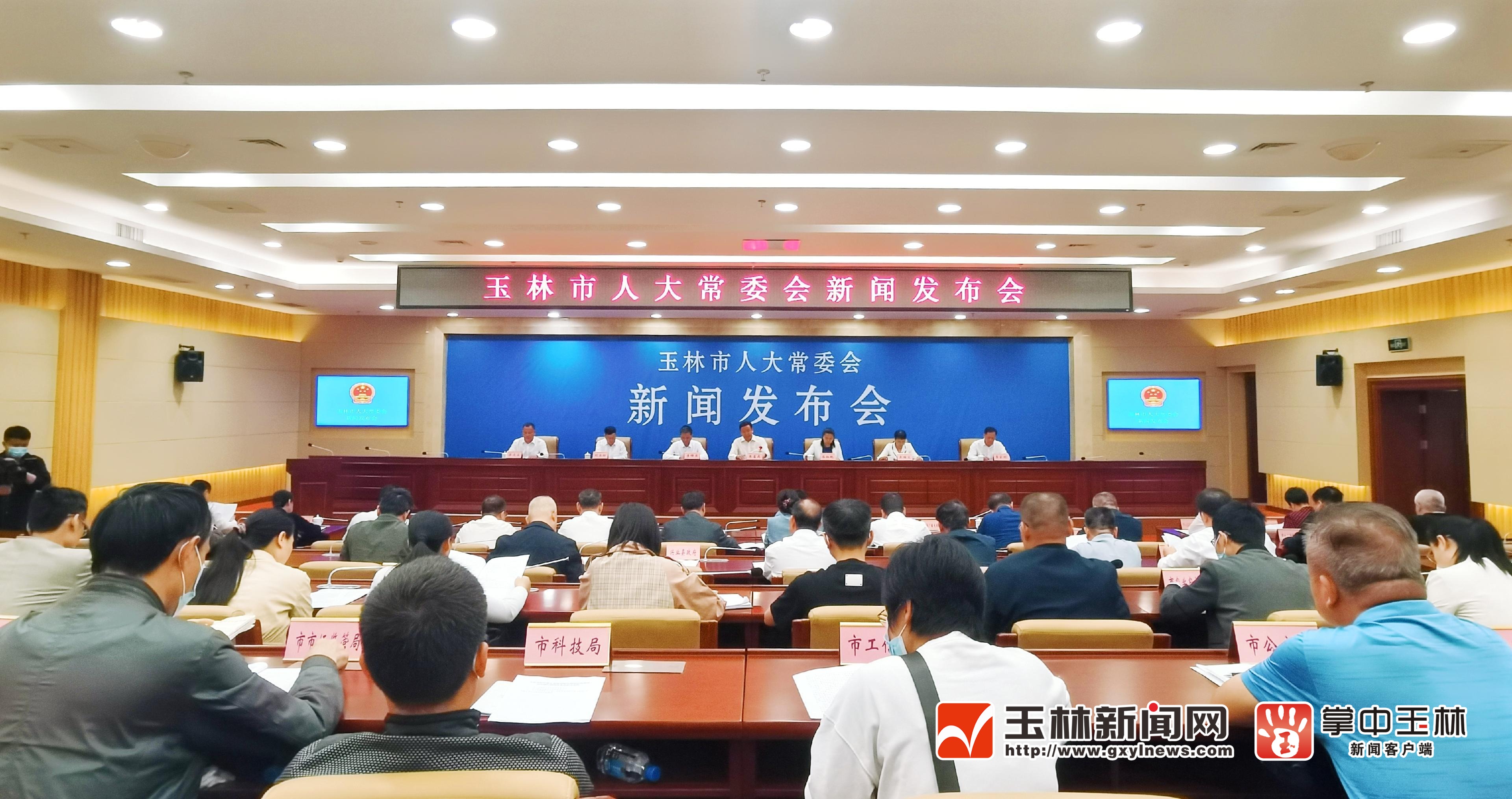 玉林最新资讯概览，获取指南与动态更新