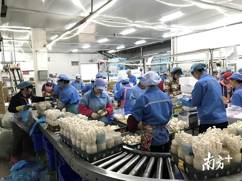 生物科技最新动态，探索自然美景的心灵之旅启程