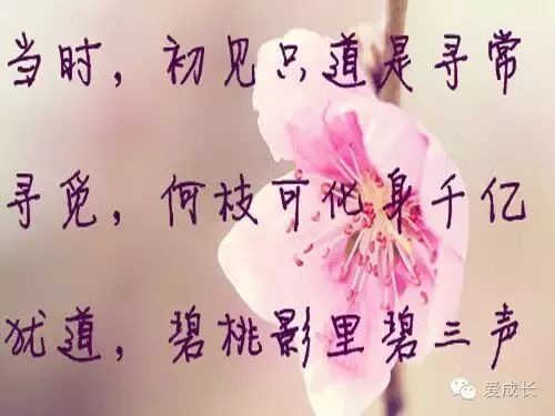 三行情书策划活动方案或策略指南