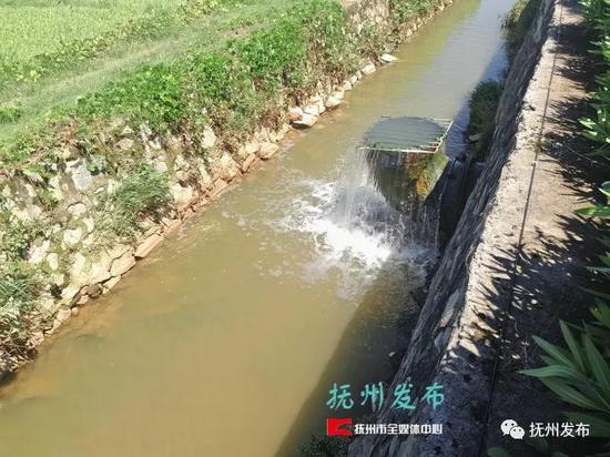 洪城水业最新动态揭秘，趣事纷呈与情感连结的水业之旅