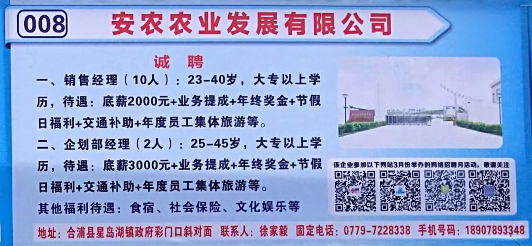合浦县城最新招工信息，科技革新助力智能生活招聘启航