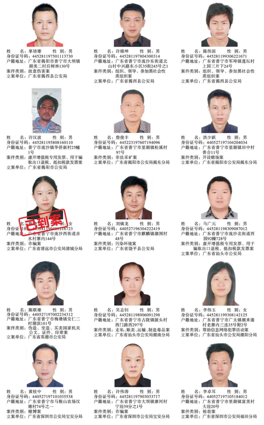 普宁警方最新动态，小巷深处的探秘之旅